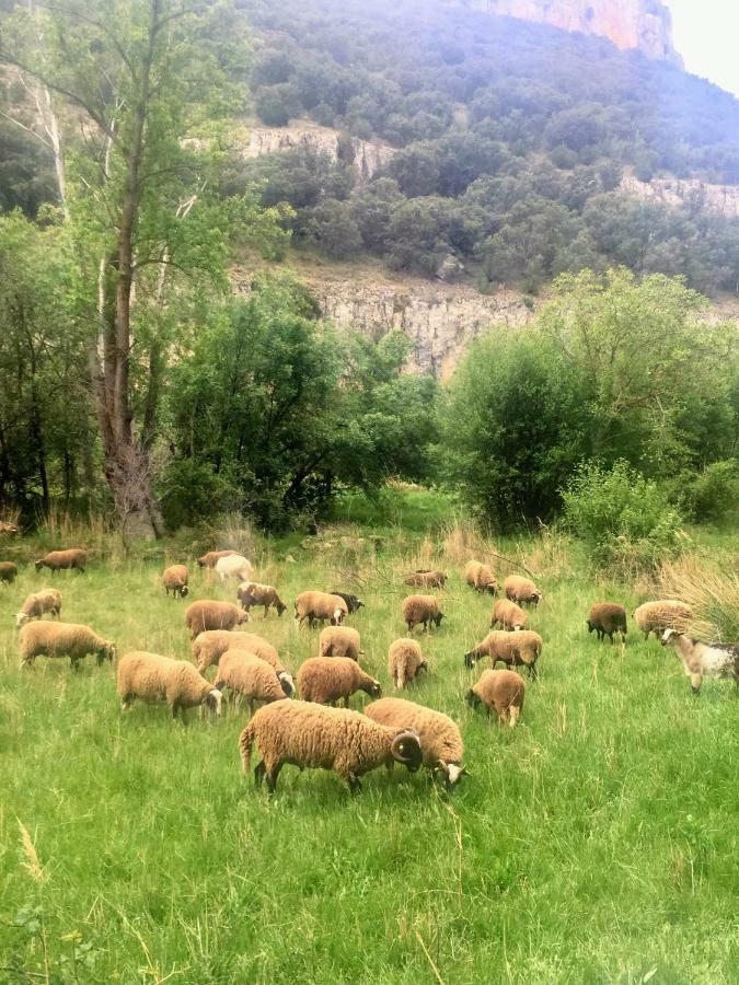 Apartamento Rural La Cascada De Calmarza Екстериор снимка