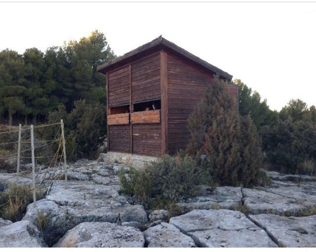 Apartamento Rural La Cascada De Calmarza Екстериор снимка